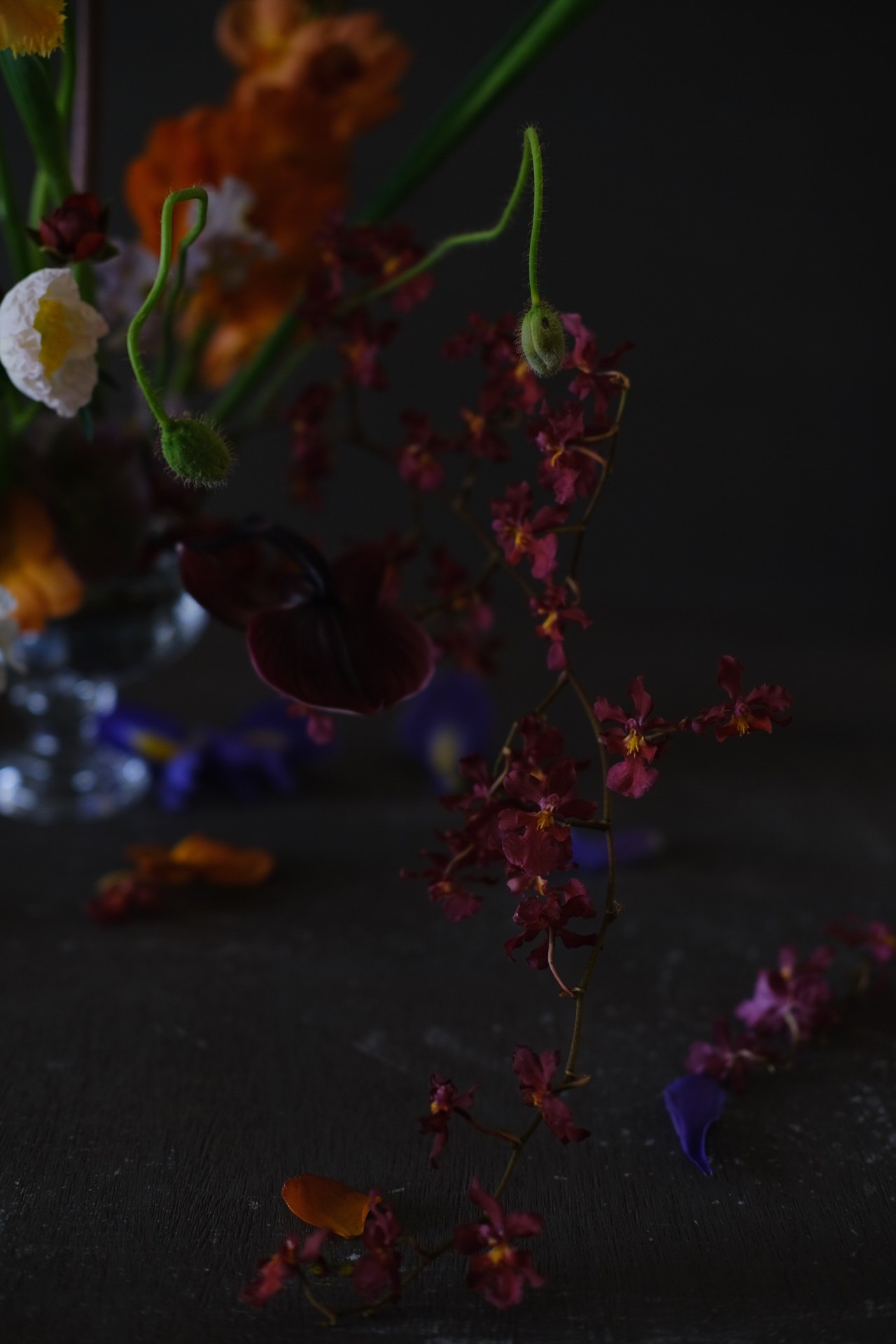 Red orchid & white poppy